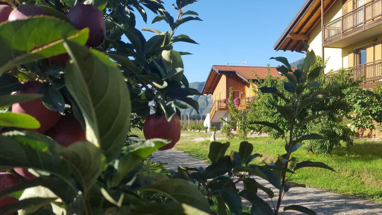 Villa Agritur Clementi Nave San Rocco Exterior foto