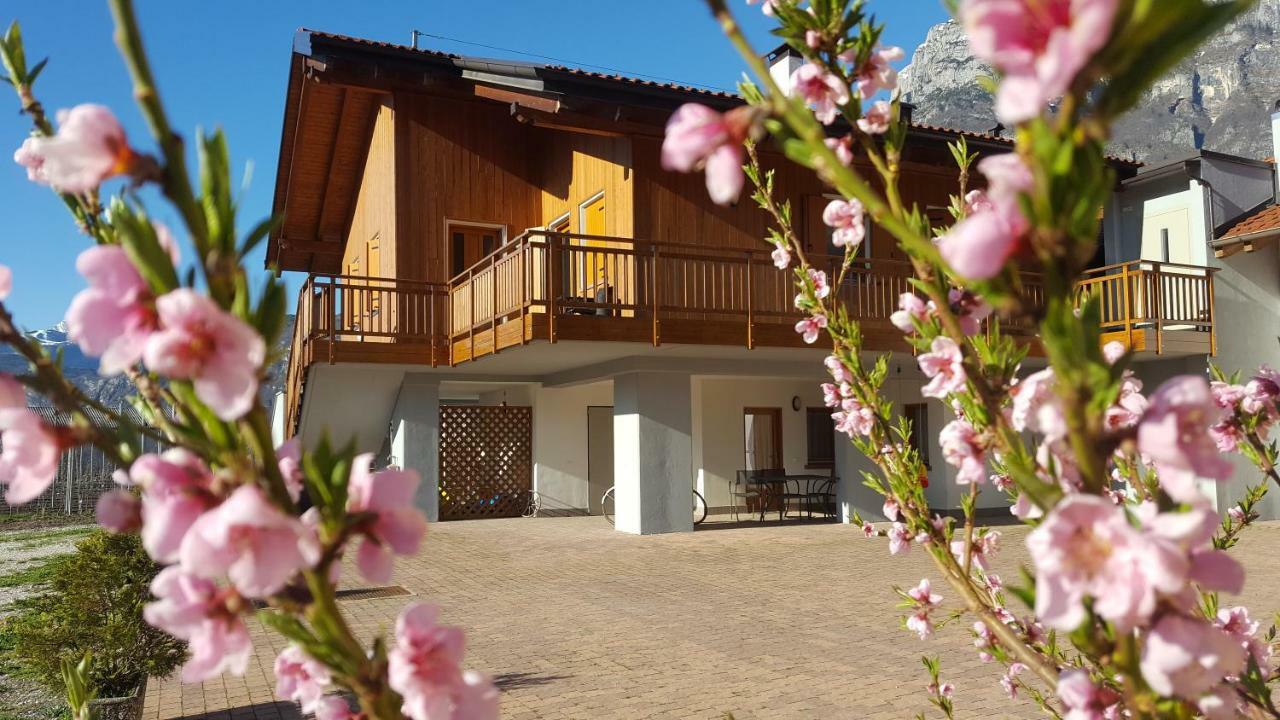 Villa Agritur Clementi Nave San Rocco Exterior foto
